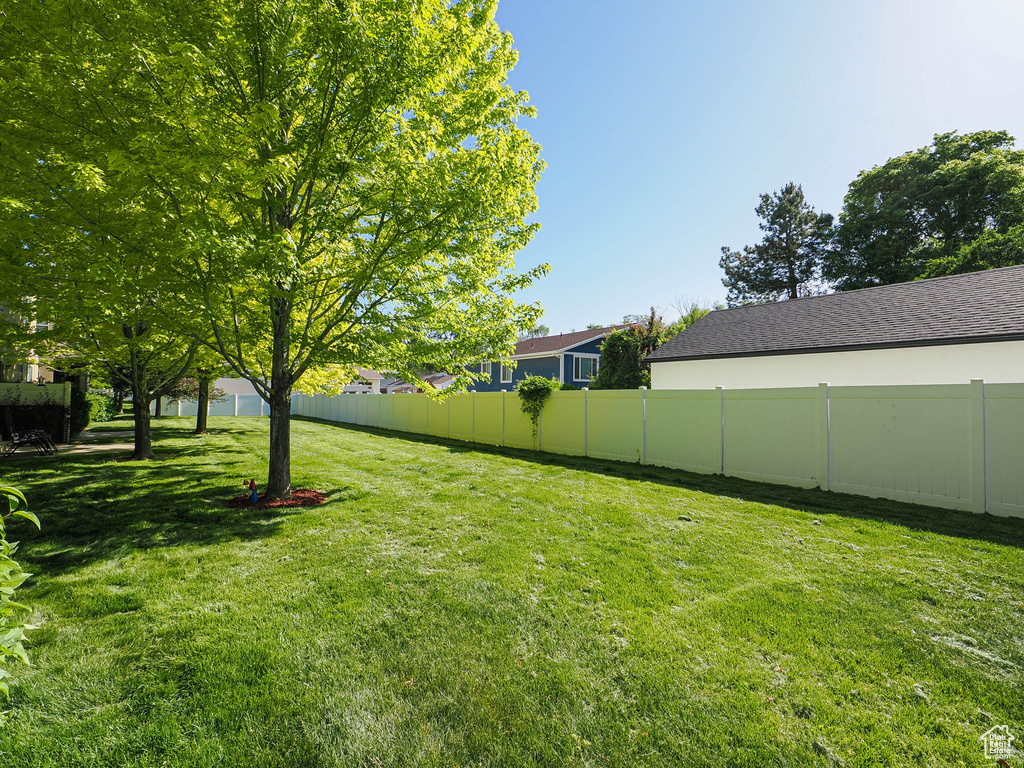 View of yard