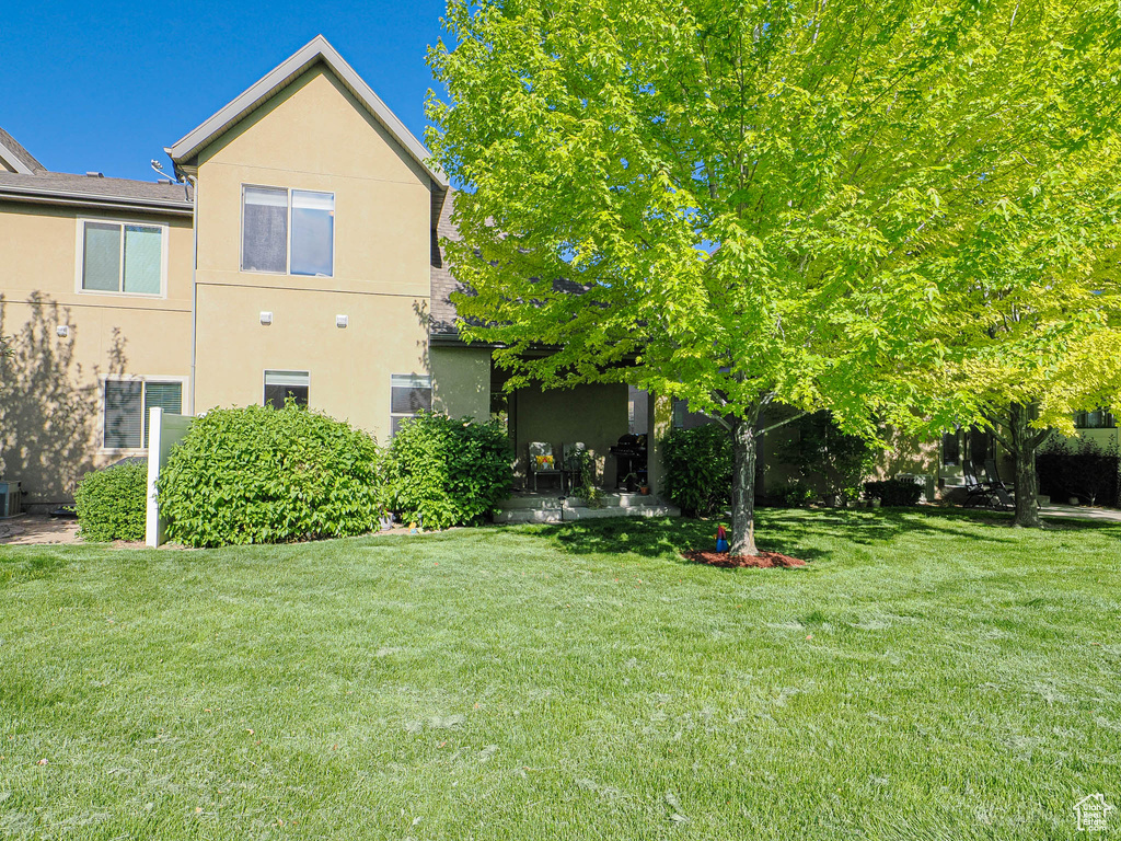 View of grassy yard