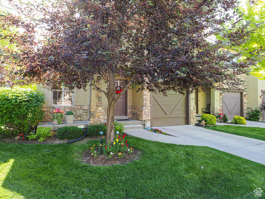 View of property hidden behind natural elements with driveway, stone siding, and a front lawn