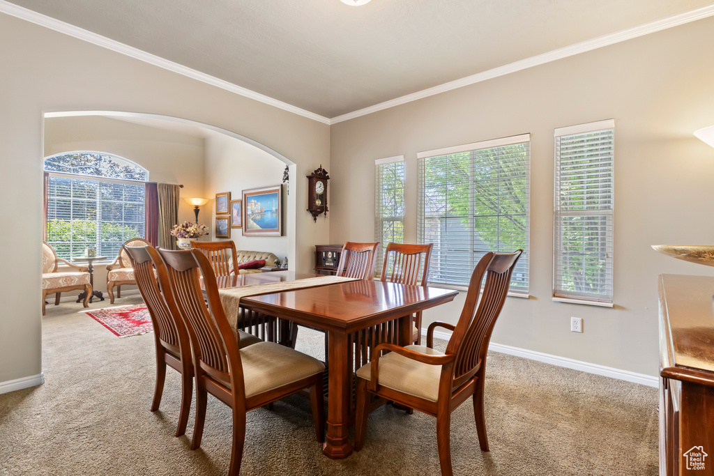 Carpeted dining space with ornamental molding, healthy amount of natural light, baseboards, and arched walkways
