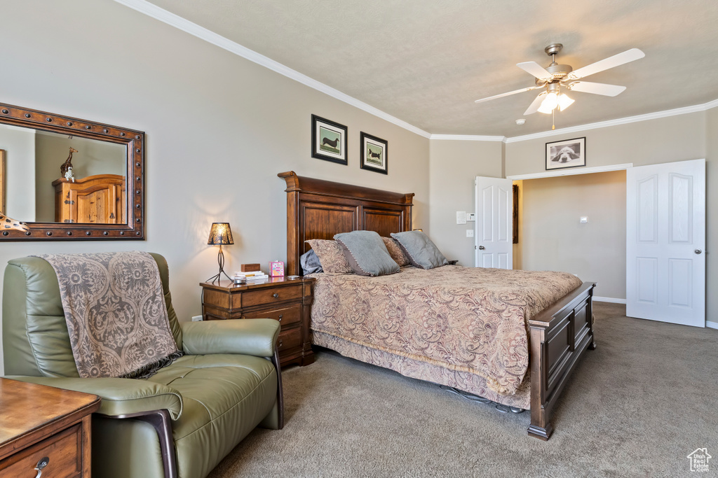 Carpeted bedroom with ornamental molding, a ceiling fan, and baseboards