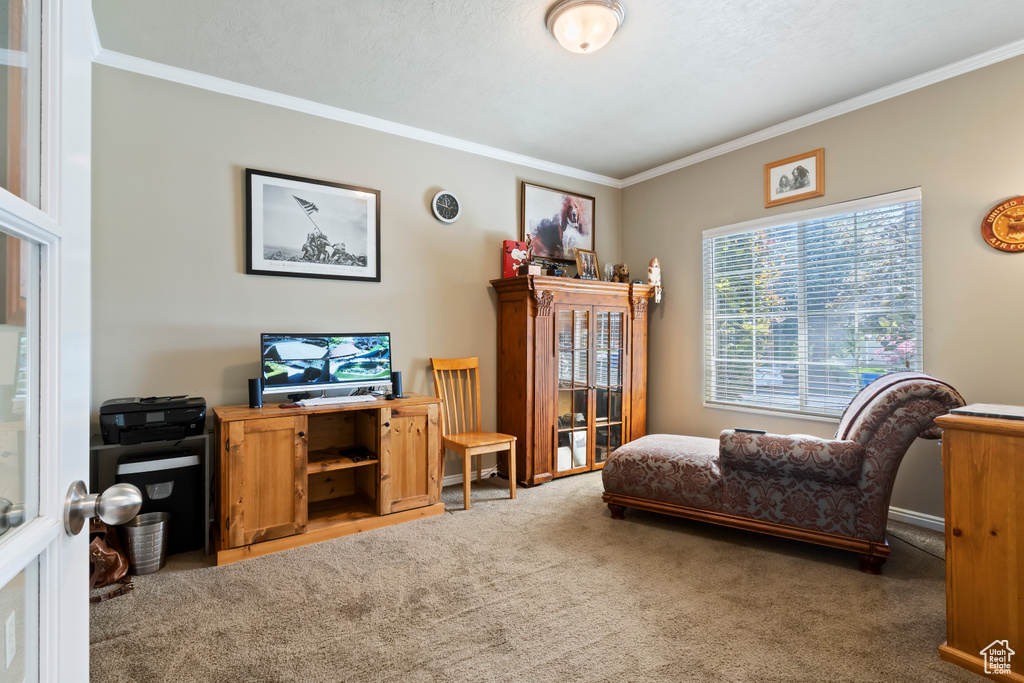 Living area featuring ornamental molding and light carpet