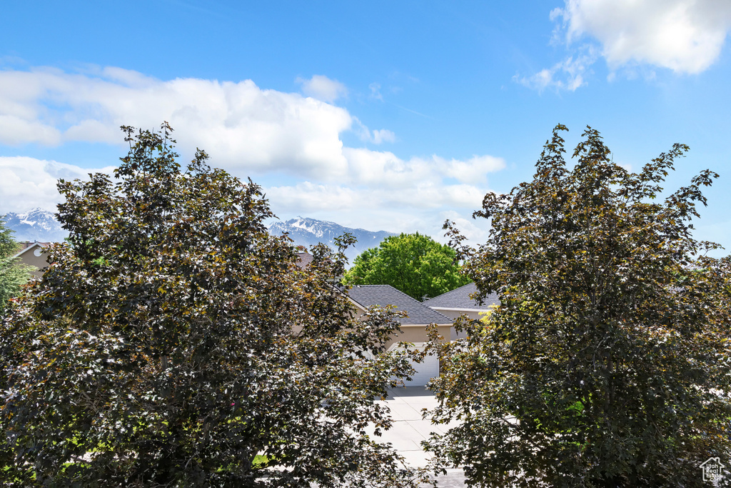 View of mountain background