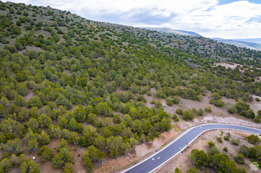 Drone / aerial view of mountains