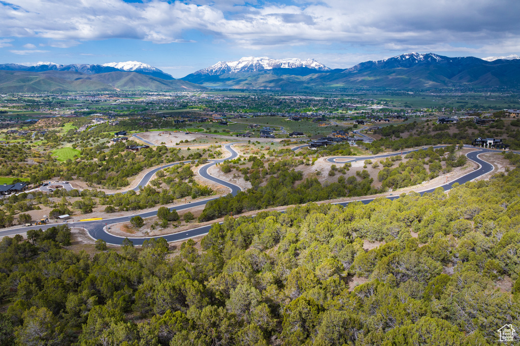 Bird's eye view of a mountainous background
