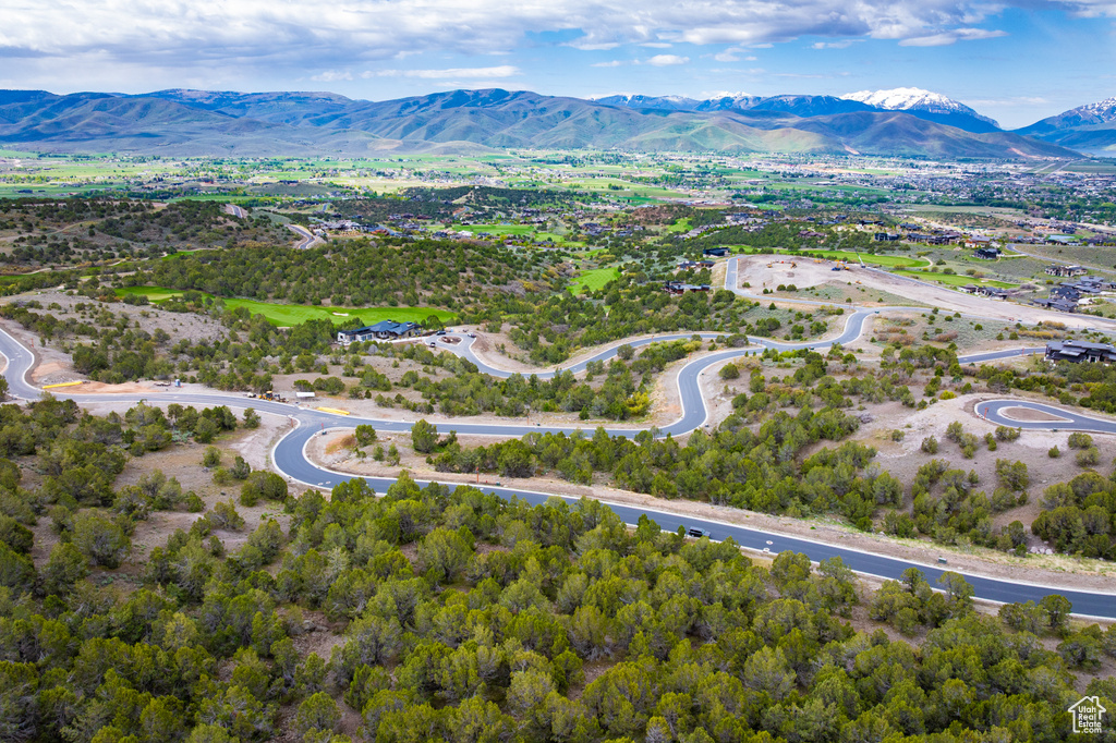Bird's eye view of a mountainous background