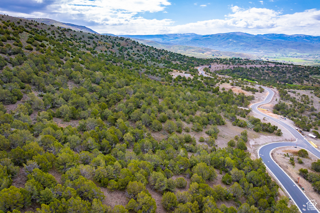 Bird's eye view of a mountain backdrop