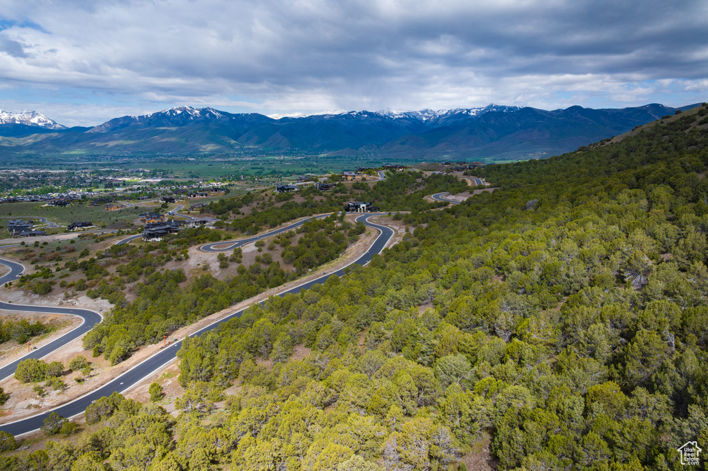 View of mountain background featuring a forest