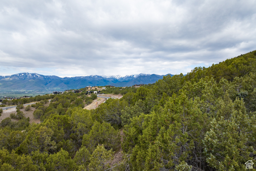View of mountain backdrop with a heavily wooded area