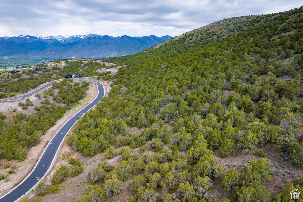Aerial view of a mountain backdrop and a heavily wooded area