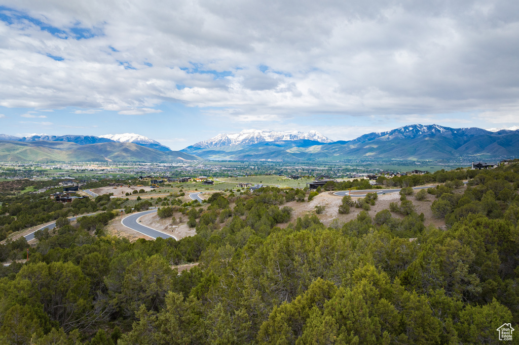 View of mountain background