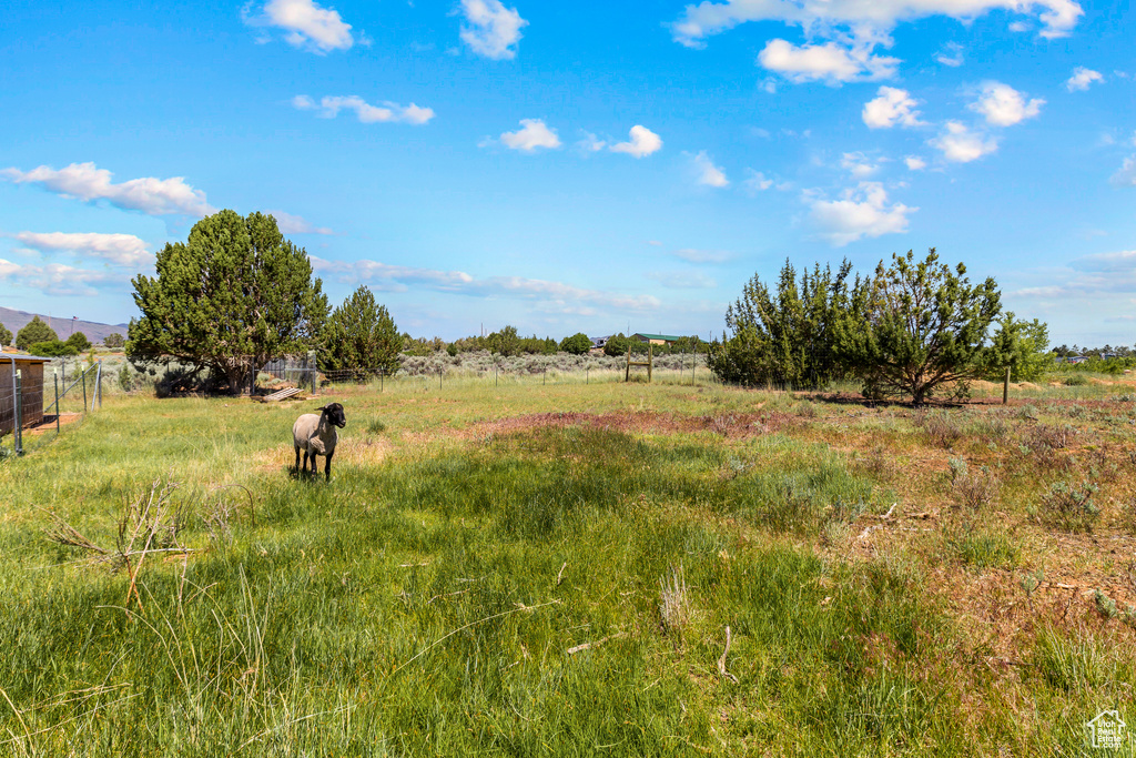 View of yard with a view of countryside