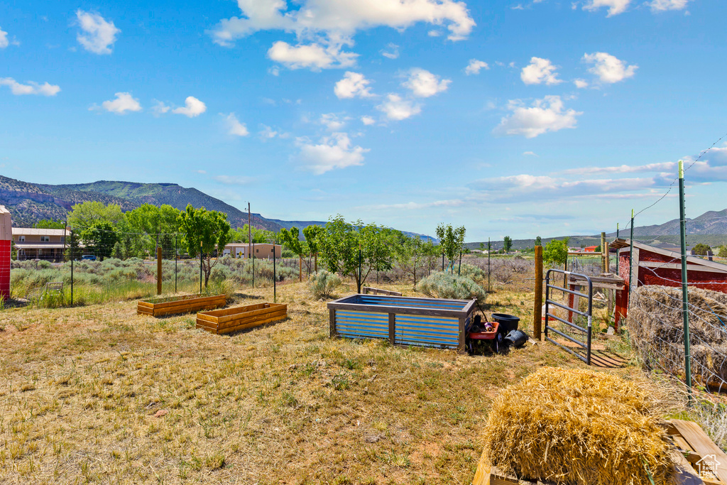 View of yard with a garden and a mountain view