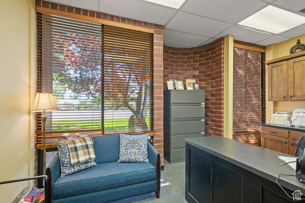 Living area featuring carpet