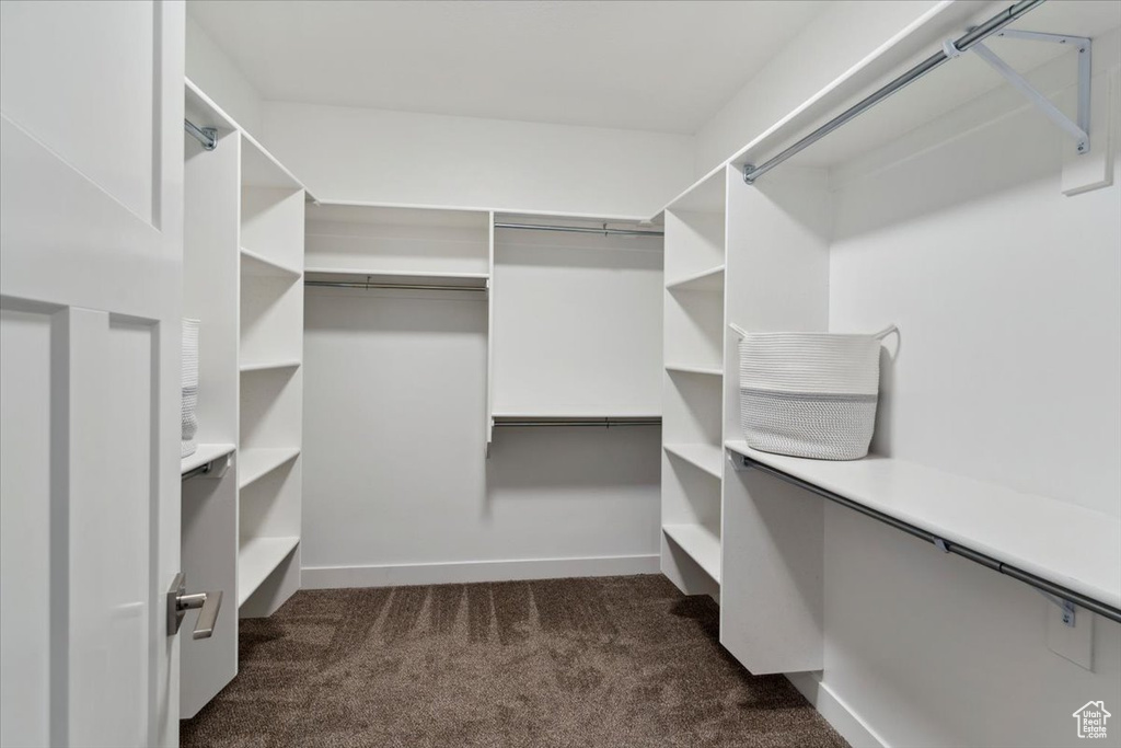 Spacious closet featuring dark colored carpet