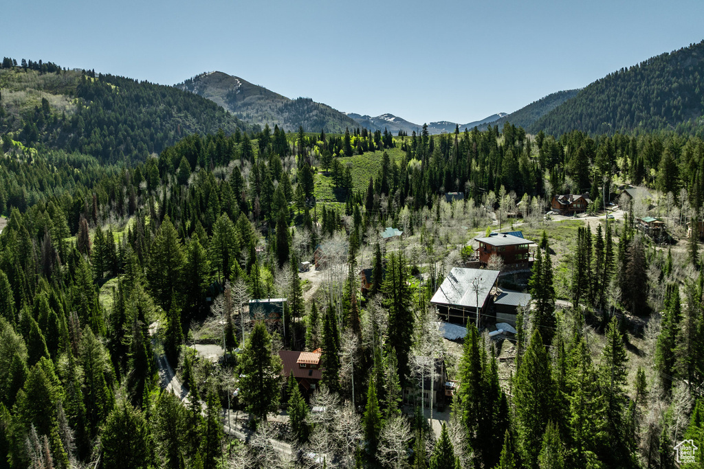 View of mountain background featuring a forest