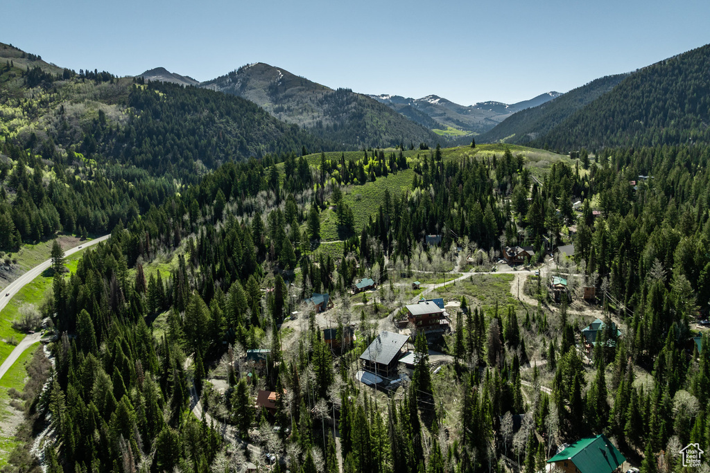 View of mountain background with a heavily wooded area