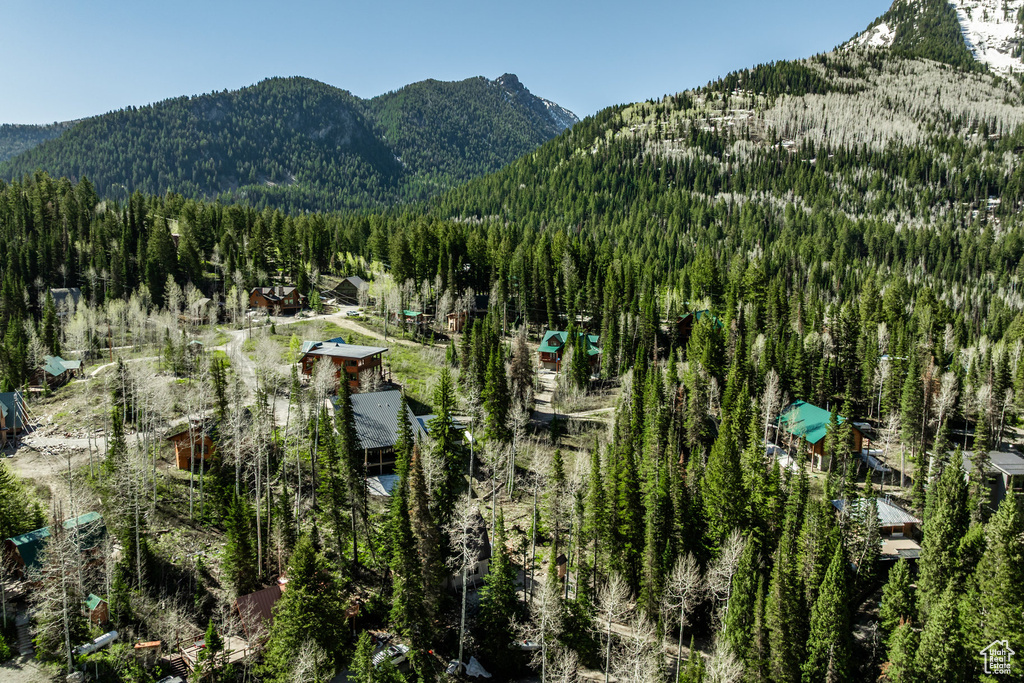 View of mountain backdrop with a heavily wooded area