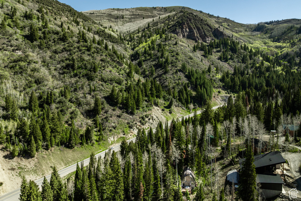 View of mountain background featuring a forest