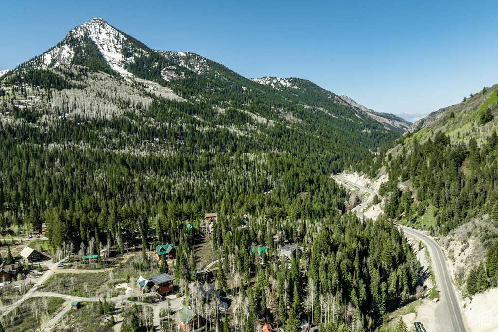 View of mountain background with a forest