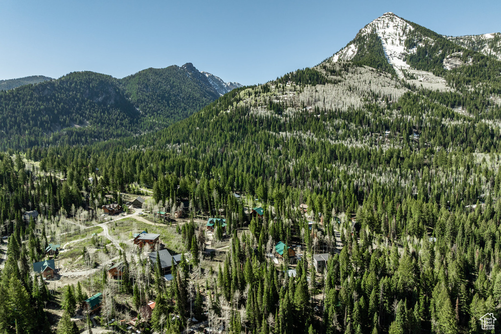 Mountain view with a forest