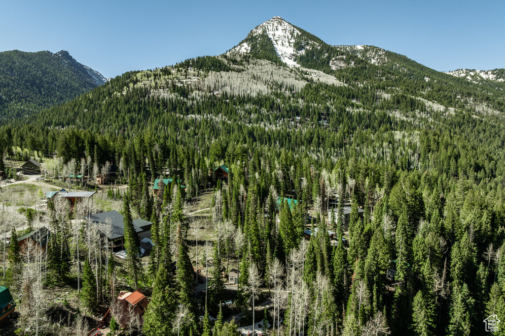 Mountain view featuring a forest