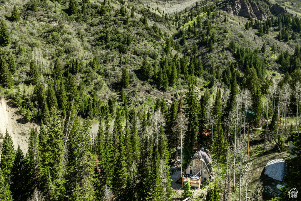 Aerial view of a heavily wooded area