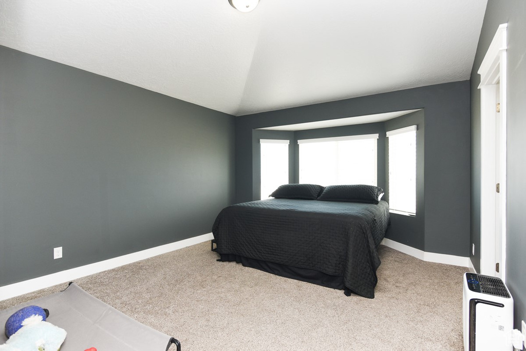 Bedroom with multiple windows, carpet floors, vaulted ceiling, and baseboards
