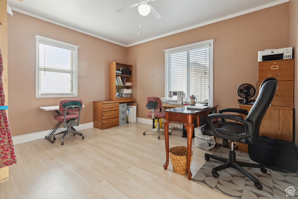 Office area with ceiling fan, crown molding, light wood finished floors, and baseboards