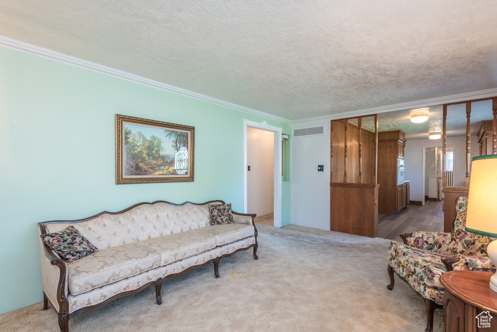 Living room with crown molding, carpet flooring, and a textured ceiling
