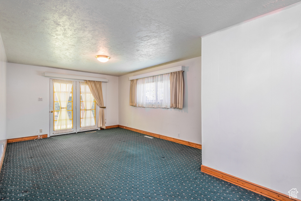 Empty room with baseboards, plenty of natural light, a textured ceiling, and carpet flooring