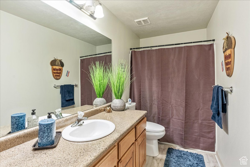 Bathroom featuring vanity, toilet, and wood finished floors