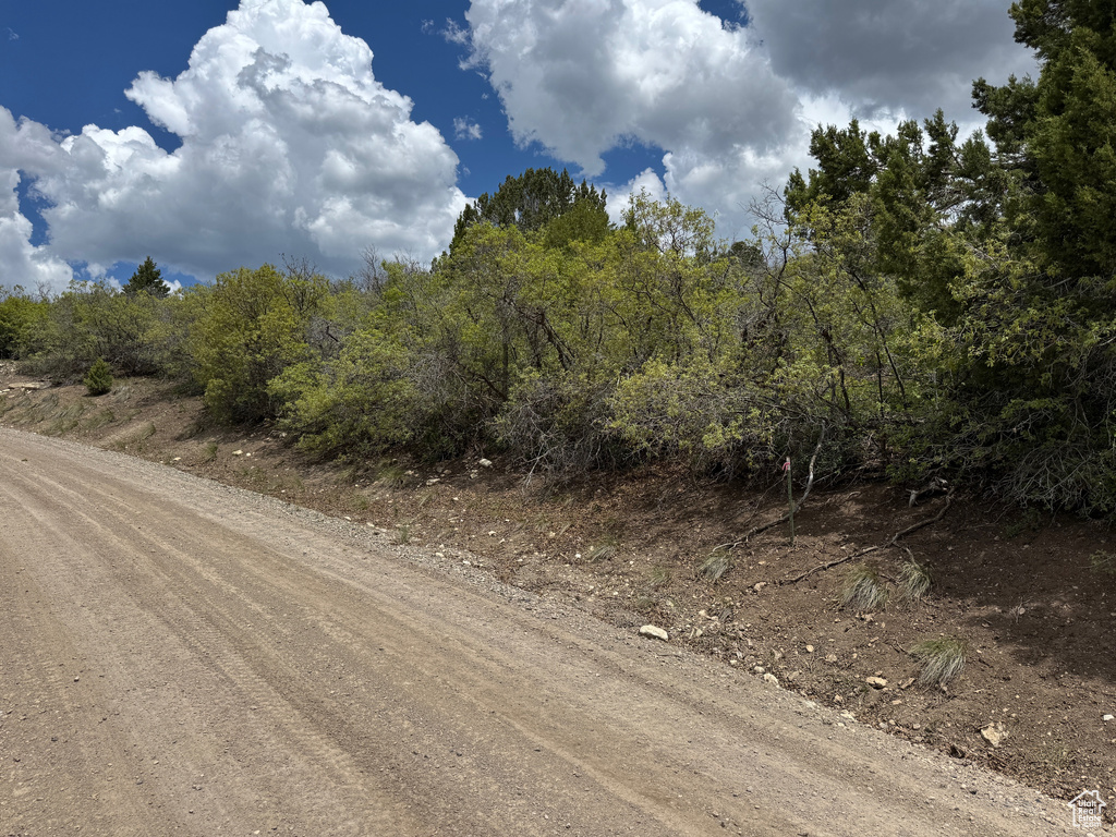 View of dirt / gravel road