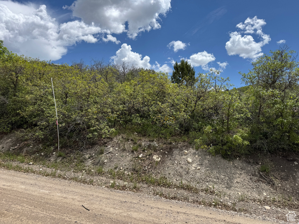 View of woods