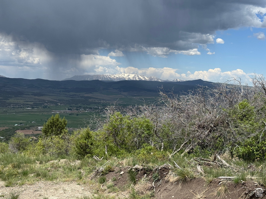 View of mountain background
