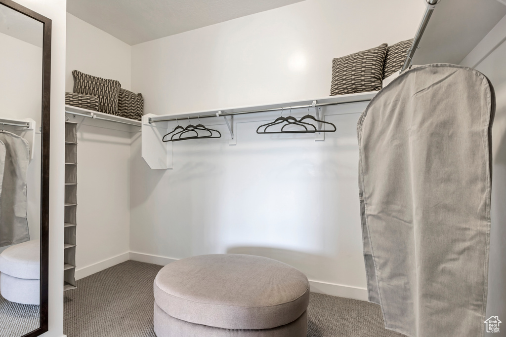 Walk in closet with carpet floors