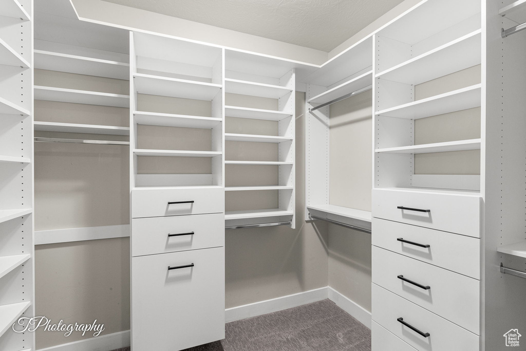 Walk in closet featuring dark carpet