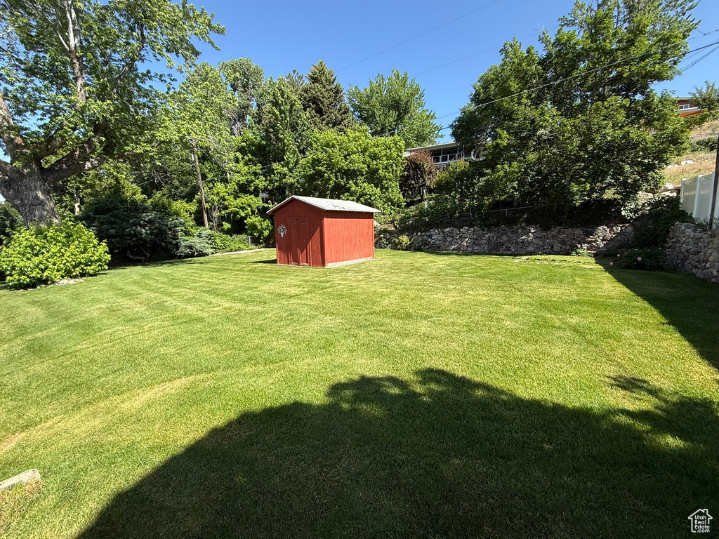 View of green lawn