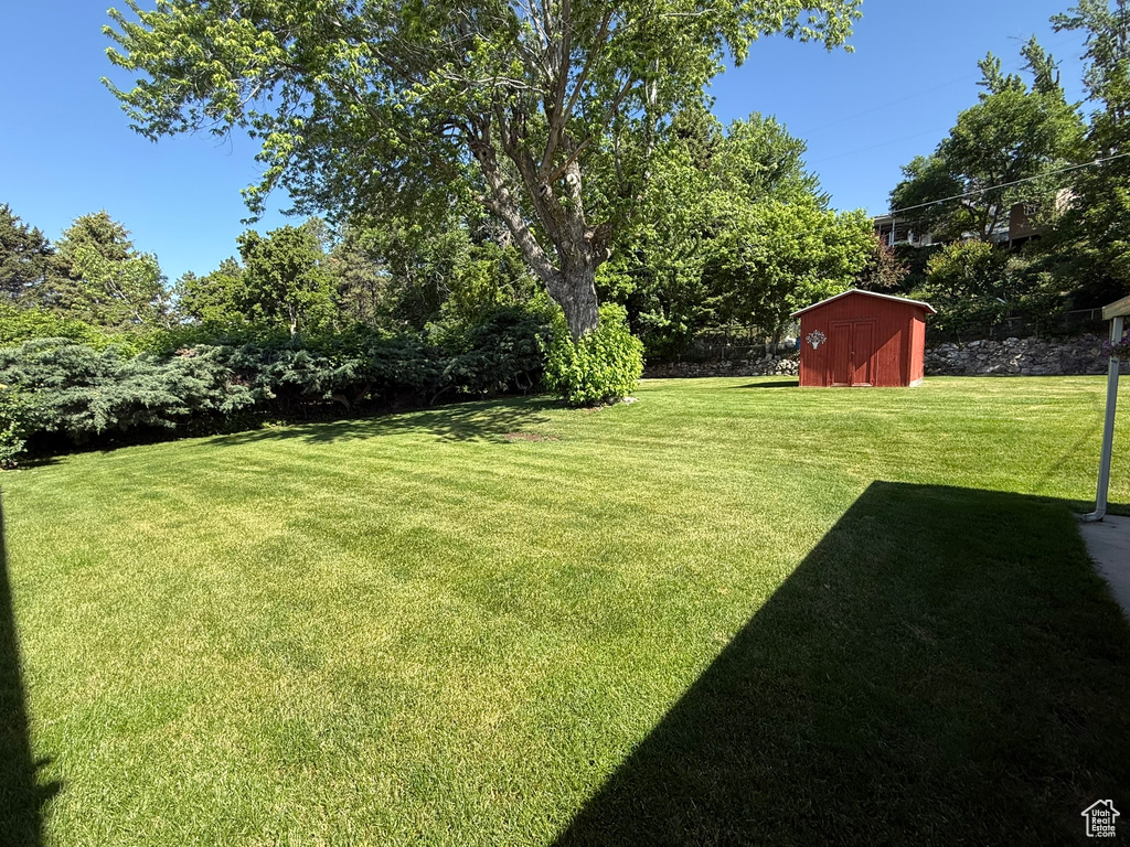 View of grassy yard