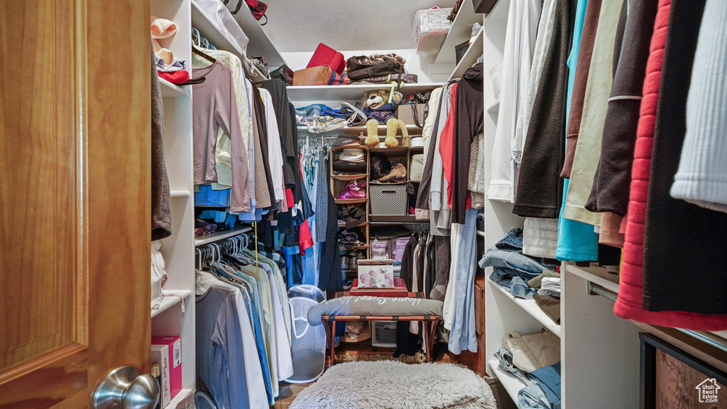 View of walk in closet