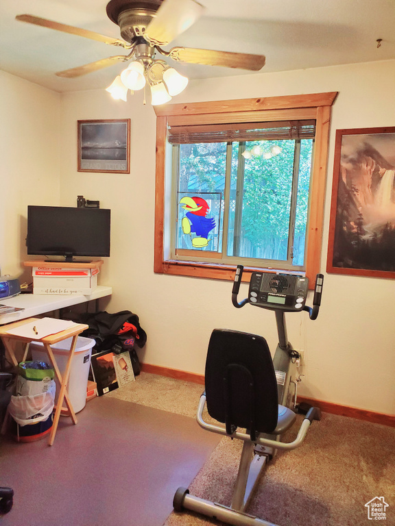 Carpeted office featuring baseboards and a ceiling fan