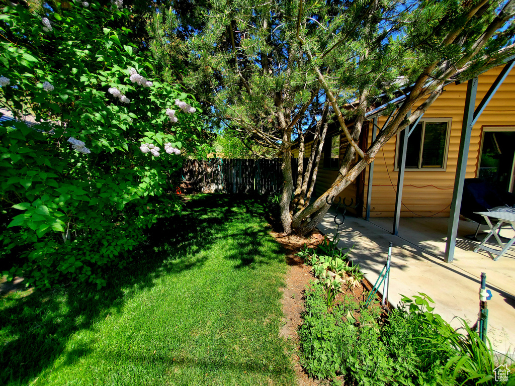 View of yard featuring a patio area