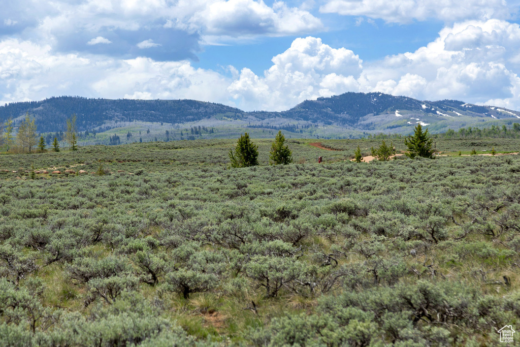 View of mountain backdrop