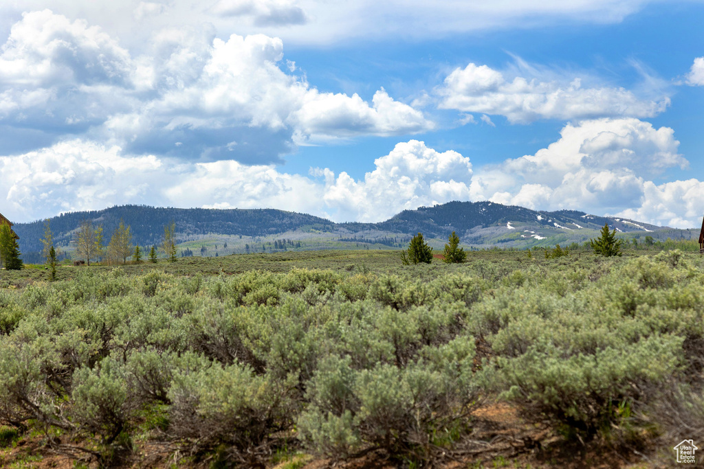 View of mountain background