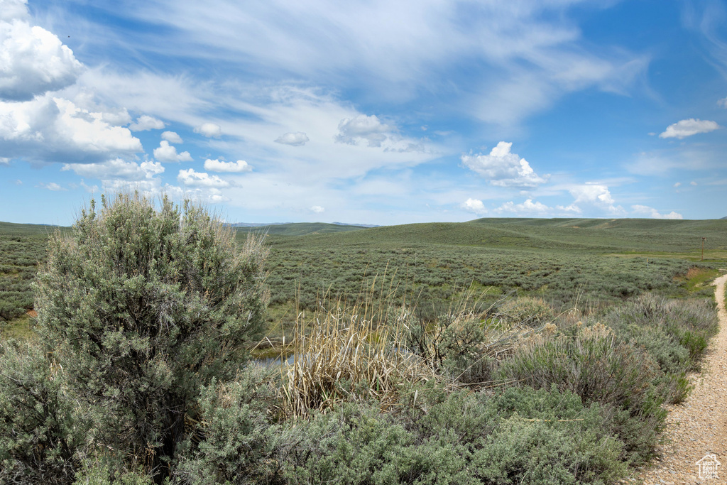 View of local wilderness