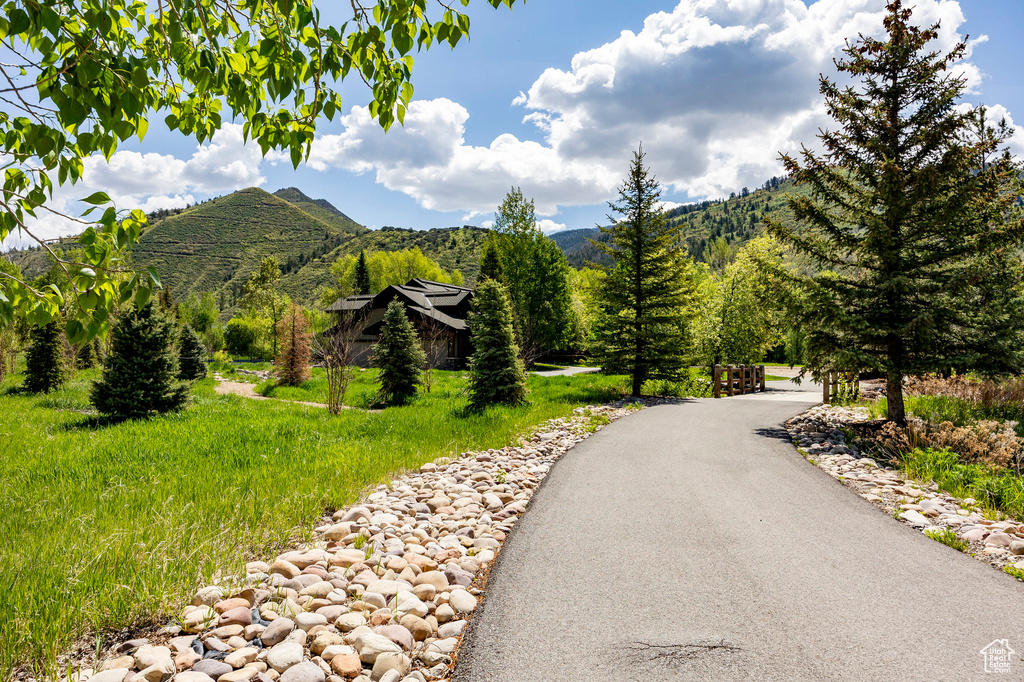 View of mountain background with a heavily wooded area