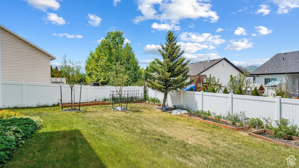 View of yard with a vegetable garden