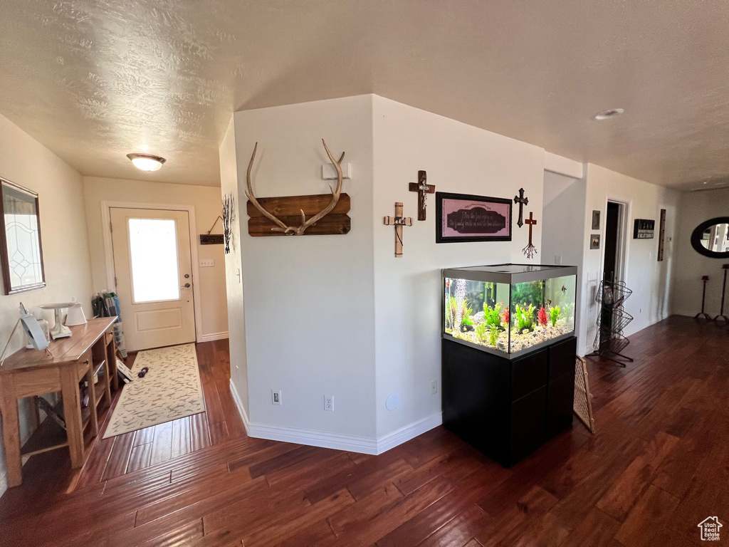 Foyer entrance featuring hardwood / wood-style flooring, baseboards, and a textured ceiling