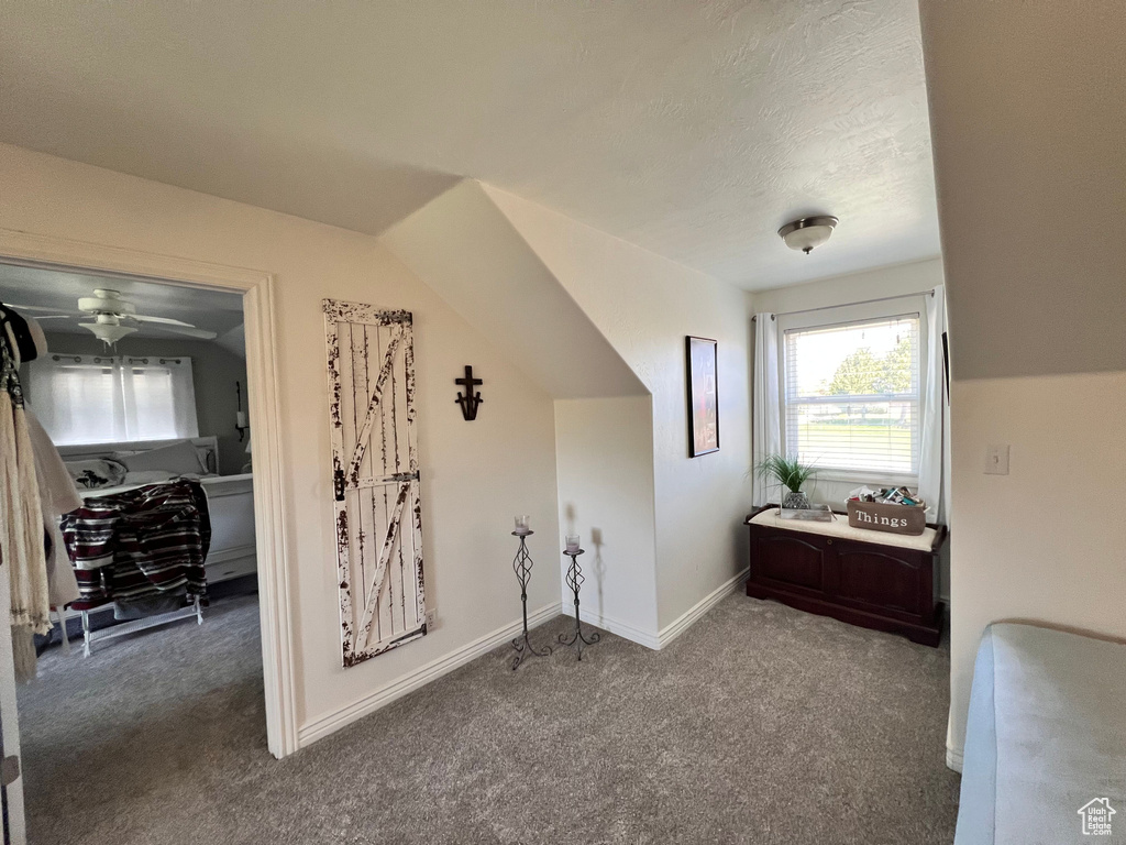 Bonus room with carpet floors, baseboards, ceiling fan, and a textured ceiling