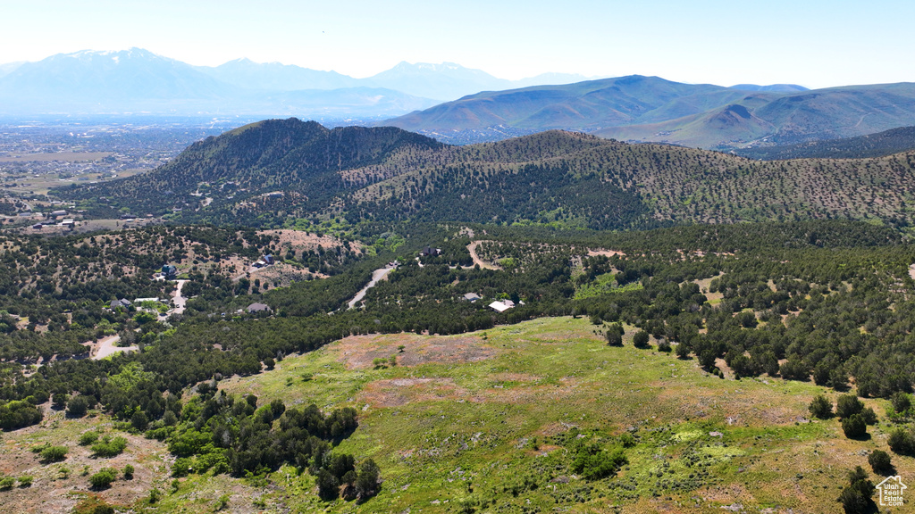 View of mountain background featuring a heavily wooded area